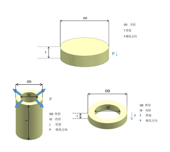网站开发设计